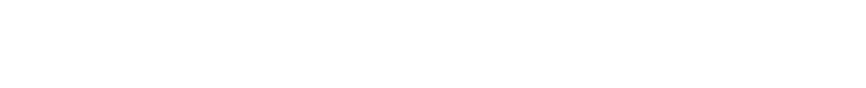 DEN PIXEL  COMPANY